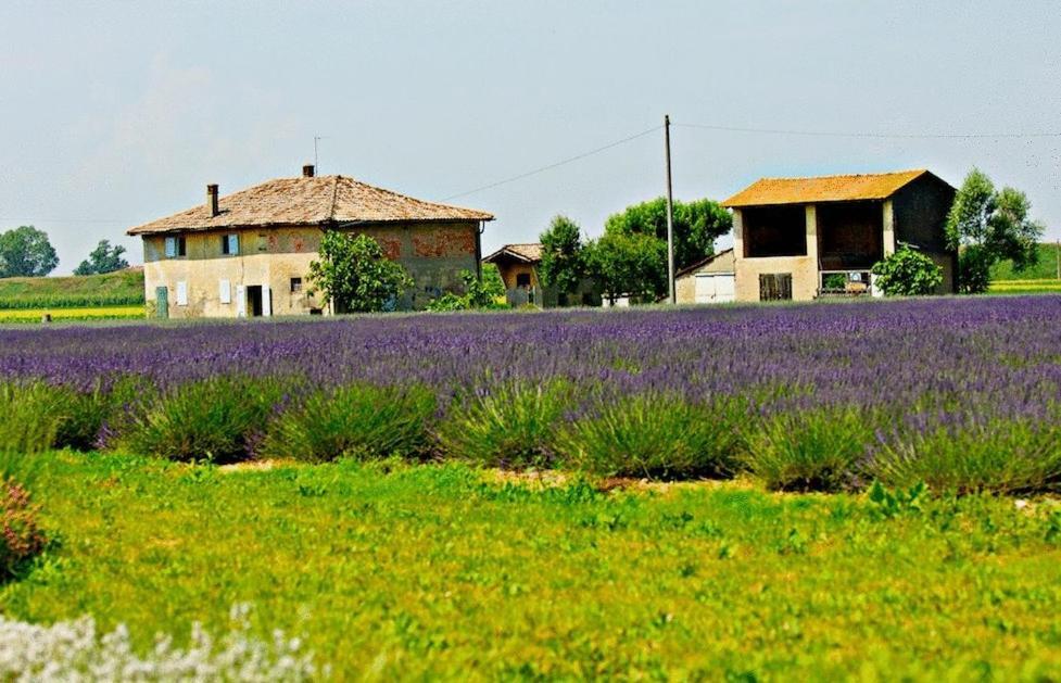 Il Murello Φιορεντίνα Εξωτερικό φωτογραφία